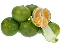 Satsuma mandarijn